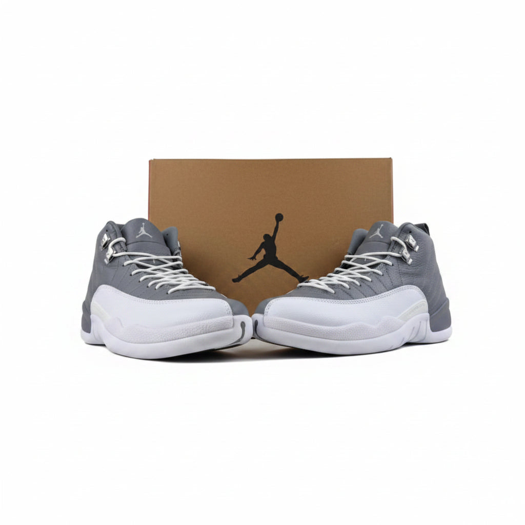 Jordan 12 Retro Stealth