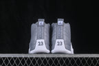 Jordan 12 Stealth