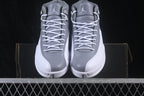 Jordan 12 Stealth